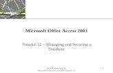 XP New Perspectives on Microsoft Office Access 2003 Tutorial 12 1 Microsoft Office Access 2003 Tutorial 12 – Managing and Securing a Database.