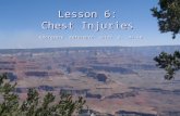 Lesson 6: Chest Injuries Emergency Reference Guide p. 47-50.