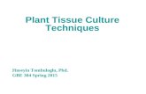 Plant Tissue Culture Techniques Huseyin Tombuloglu, Phd. GBE 304 Spring 2015.