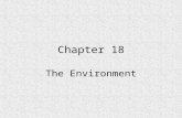 Chapter 18 The Environment Sections 1-3 Section 1: Global Change (The atmosphere & ecosystems/ Ozone Layer/ Global temps) Section 2: Effects on Ecosystems.