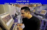 CHAPTER 20 DNA TECHNOLOGY AND GENOMICS. Overview of How Bacterial Plasmids Are Used to Clone Genes.