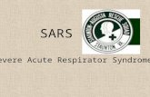 SARS ( Severe Acute Respirator Syndrome ). What is SARS? Severe acute respiratory syndrome (SARS) is a respiratory illness that has recently been reported.