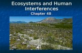 Ecosystems and Human Interferences Chapter 48. Outline Biotic Components Biotic Components Autotrophs Autotrophs Heterotrophs Heterotrophs Energy Flow.