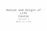 Nature and Origin of Life Course Lecture 1 What is Life.