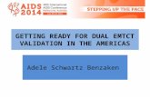 GETTING READY FOR DUAL EMTCT VALIDATION IN THE AMERICAS Adele Schwartz Benzaken.