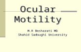 Ocular Motility M.R Besharati MD Shahid Sadoughi University.