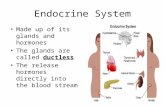 Endocrine System Made up of its glands and hormones The glands are called ductless The release hormones directly into the blood stream.