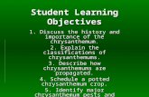 Student Learning Objectives 1. Discuss the history and importance of the chrysanthemum. 2. Explain the classifications of chrysanthemums. 3. Describe how.