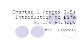 Chapter 1 (pages 2-5) Introduction to Life Honors Biology Mrs. Einstein.
