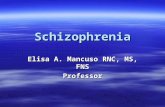 Schizophrenia Elisa A. Mancuso RNC, MS, FNS Professor.