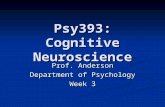 Psy393: Cognitive Neuroscience Prof. Anderson Department of Psychology Week 3.