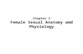 Chapter 3 Female Sexual Anatomy and Physiology. Genital Self-Exam Purposes of self exams –Increases sexual comfort –Monitor for changes related to health.