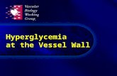 Hyperglycemia at the Vessel Wall. Potential hyperglycemia-induced tissue damage Brownlee M. Diabetes. 2005;54:1615-25. Repeated acute changes in cellular.