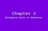 Chapter 2 Biological Basis of Behaavior. The Nervous System Nervous System: transmits messages throughout the body Neuron: specialized cell – basic (smallest)