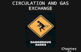 CIRCULATION AND GAS EXCHANGE Chapter 42. Gas Exchange Systems of Different Animals Gastrovascular Cavities –(Platyhelminthes, Cnidarians, simple animals)