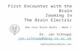 First Encounter with the Brain Zooming In The Brain Electric How Your Brain Works - Week 1 Dr. Jan Schnupp jan.schnupp@dpag.ox.ac.uk HowYourBrainWorks.net.