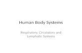 Human Body Systems Respiratory, Circulatory and Lymphatic Systems.
