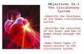 Lesson Overview Lesson Overview The Circulatory System Objectives 33.1 The Circulatory System -Identify the functions of the human circulatory system.