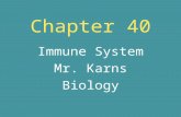 Chapter 40 Immune System Mr. Karns Biology Color Coding Red – most important Orange – next most important Yellow – it is o.k. to write it down White.