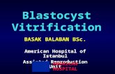 Blastocyst Vitrification BASAK BALABAN BSc. American Hospital of Istanbul Assisted Reproduction Unit AMERICAN HOSPITAL.