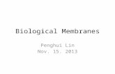 Biological Membranes Penghui Lin Nov. 15. 2013. Membranes inquiryb/webquest/fa06/mvogenbe