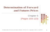 Fundamentals of Futures and Options Markets, 7th Ed, Ch 5, Copyright © John C. Hull 2010 Determination of Forward and Futures Prices Chapter 5 (Pages 103-123)