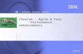© 2007 IBM Corporation IBM – Informix Dynamic Server Cheetah - Agile & Fast Performance enhancements.