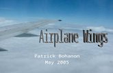 Patrick Bohanon May 2005. Wing Shape The top of the wing is curved. The bottom of the wing is flat.