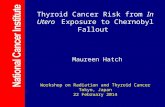 Thyroid Cancer Risk from In Utero Exposure to Chernobyl Fallout Maureen Hatch Workshop on Radiation and Thyroid Cancer Tokyo, Japan 22 February 2014.