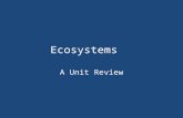 Ecosystems A Unit Review. What are Ecosystems? Groups of living things and the non-living environment in which they live. The people that study ecosystems.