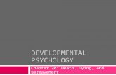 DEVELOPMENTAL PSYCHOLOGY Chapter 20: Death, Dying, and Bereavement.
