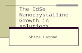 The CdSe Nanocrystalline Growth in solutions Shima Fardad.