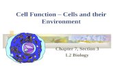 Cell Function – Cells and their Environment Chapter 7, Section 3 L2 Biology.