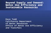 Beyond Supply and Demand: Water Use Efficiency and Sustainable Resources Dave Todd California Department of Water Resources Office of Water Use Efficiency.