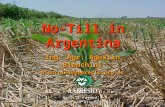 No-Till in Argentina Ing. Agr. Agustín Bianchini bianchini@aapresid.org.ar bianchini@aapresid.org.ar No-Till Farmer’s Argentinean Association No-Till Farmer’s.