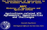The Contribution of Agriculture to the Economic Reforms of Syria NAPC Ministry of Agriculture and Agrarian reform Agriculture-related WTO Agreements: Opportunities.