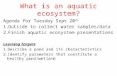 What is an aquatic ecosystem? Agenda for Tuesday Sept 20 th 1.Outside to collect water samples/data 2.Finish aquatic ecosystem presentations Learning Targets.
