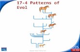 End Show Slide 1 of 25 Copyright Pearson Prentice Hall 17-4 Patterns of Evolution.