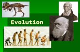 Evolution. What is evolution?  Evolution is the process of biological change by which species of organisms change over time.  Evolution is a central.