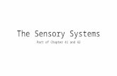 The Sensory Systems Part of Chapter 41 and 42.