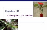 AP Biology Chapter 36. Transport in Plants AP Biology Transport in plants  H 2 O & minerals  Sugars  Gas exchange.