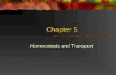Chapter 5 Homeostasis and Transport. Homeostasis The property of a system that regulates its internal environment and tends to maintain a stable, constant.