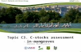 Topic C3. C-stocks assessment in mangroves J. Boone Kauffman and Daniel Murdiyarso.