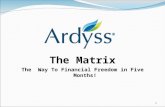 1 The Matrix The Way To Financial Freedom in Five Months!