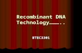 Recombinant DNA Technology……….. BTEC3301. Polymerase Chain Reaction (PCR) Introduction The Polymerase Chain Reaction (PCR) provides an extremely sensitive.