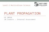 PLANT PROPAGATION US 20556 10 Credits – Internal Assessment Level 2 Horticulture Science.