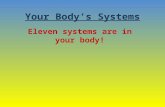 Your Body’s Systems Eleven systems are in your body!