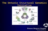 The Ontario Structural Genomics Initiative MTH40 MTH1184 MTH538 MTH129 MTH1048 MTH1699 MTH1790 MTH152 MTH1615 MTH1175 MTH150.