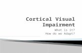 What is it? How do we Adapt?.  According to the American Printing House, aph.org, the definition for medical purposes: Cortical visual impairment (CVI)