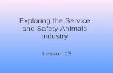 Exploring the Service and Safety Animals Industry Lesson 13.